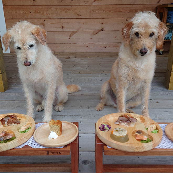 ワンワンフード＆デザート - ようこそドッグランピングSUIYAへ