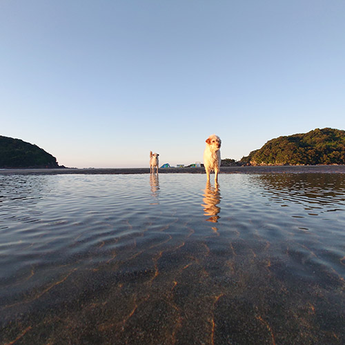 浜あそび