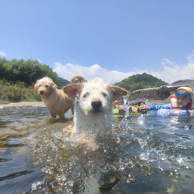 川遊び